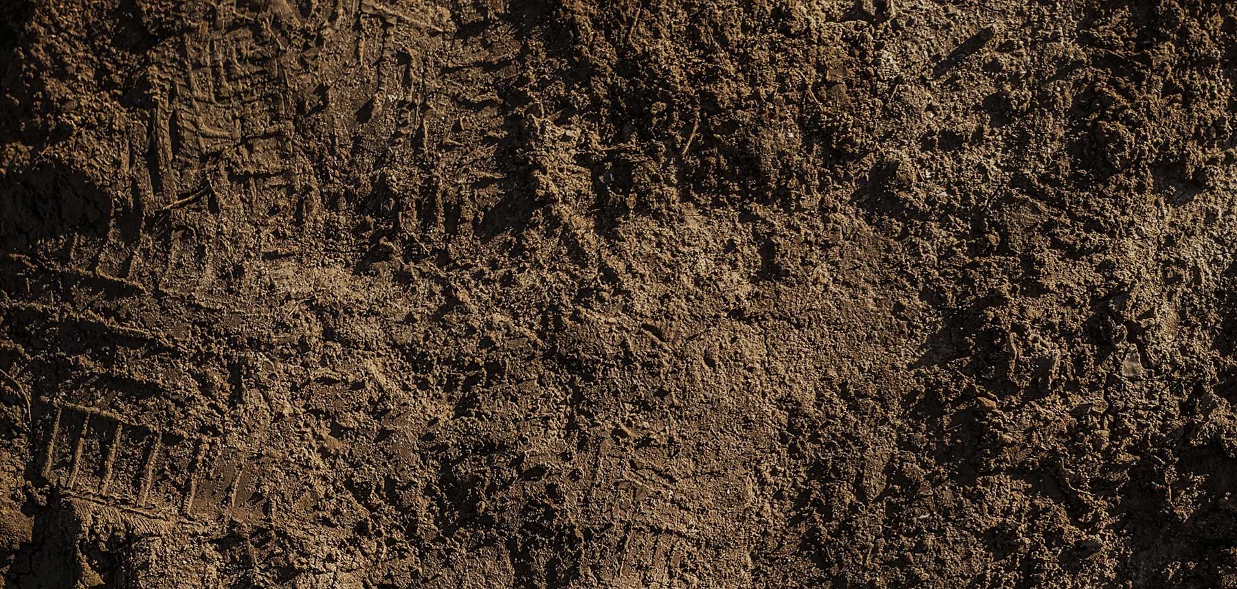 Shop our soil for delivery